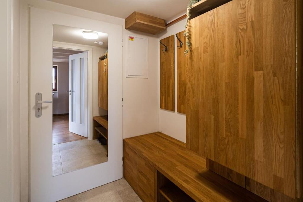 Luxusni Byt S Terasou V Centru Brno Extérieur photo